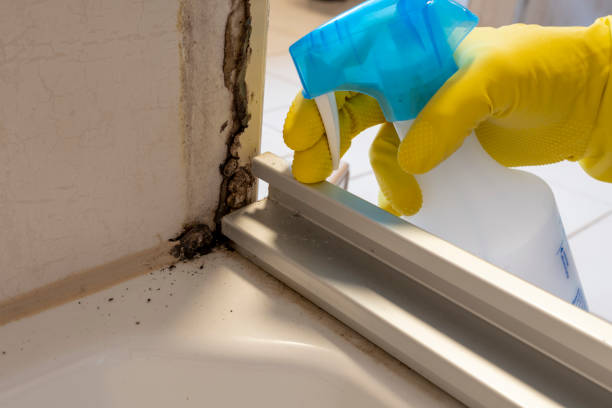 Best Crawl Space Mold Removal  in Cuba City, WI