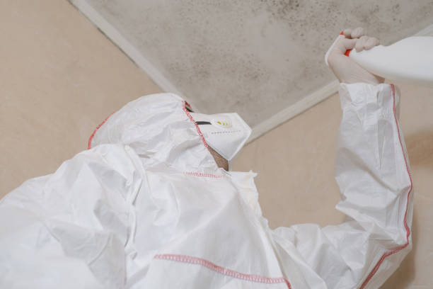 Best Toxic Mold Removal  in Cuba City, WI